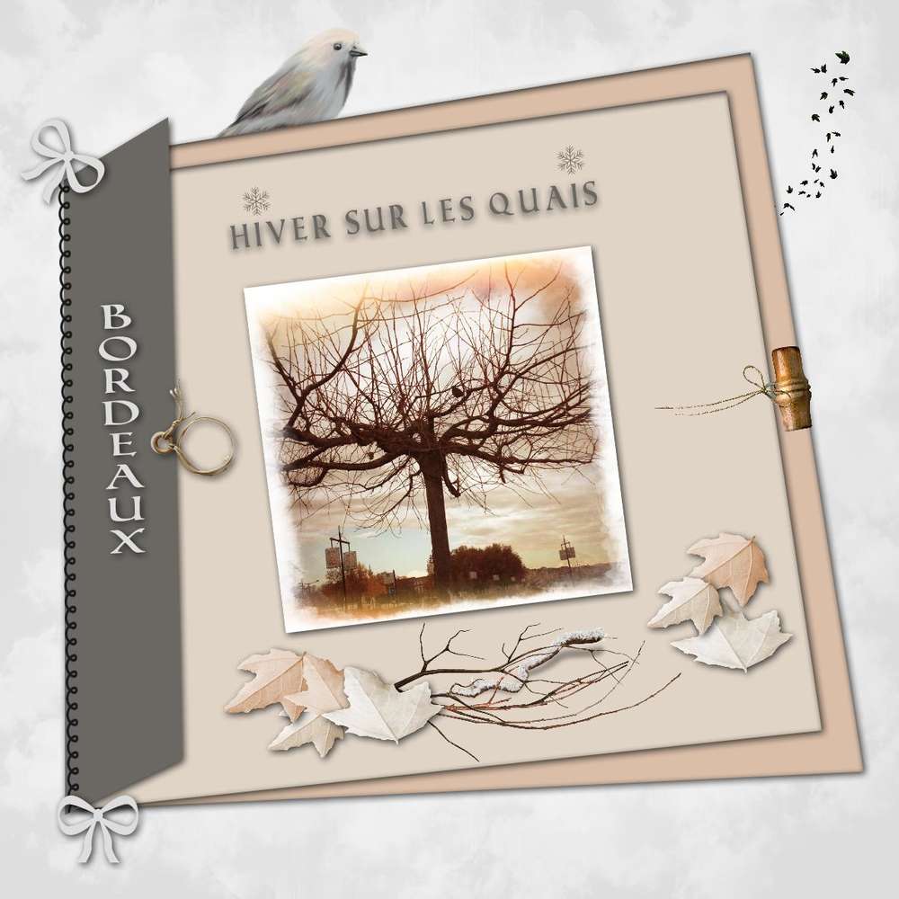 defi janvier martinas