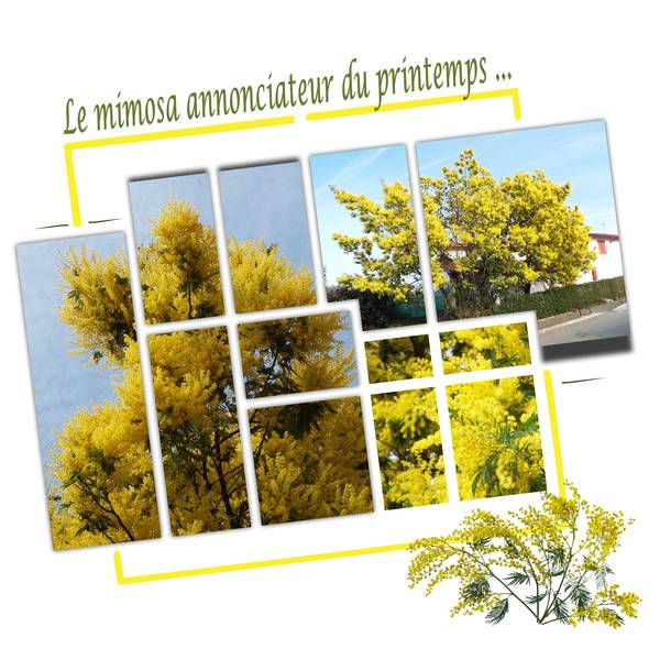 Défi jaune de Gilberte