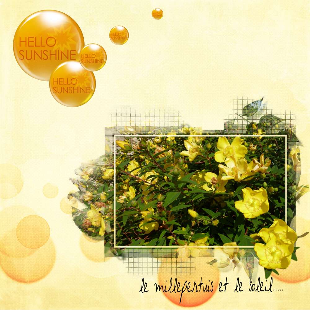 Défi j'veux du soleil