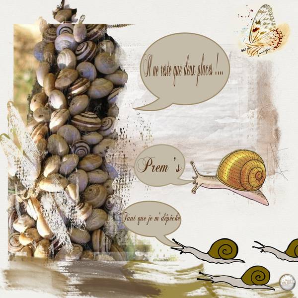 Défi Kaly - petit animal