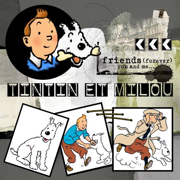 Défi Karine - Animal de compagnie