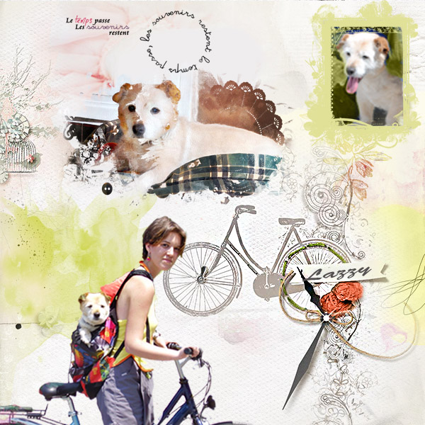 Défi  Karine animaux