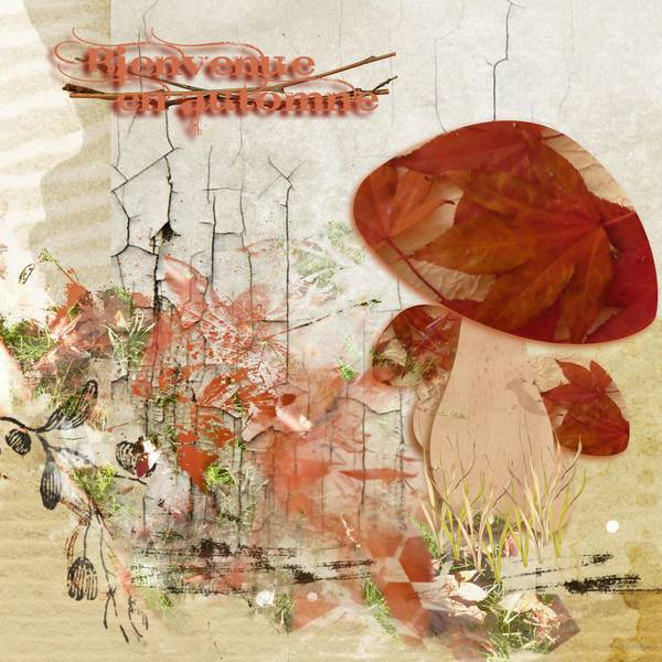 Defi Karine - champignon