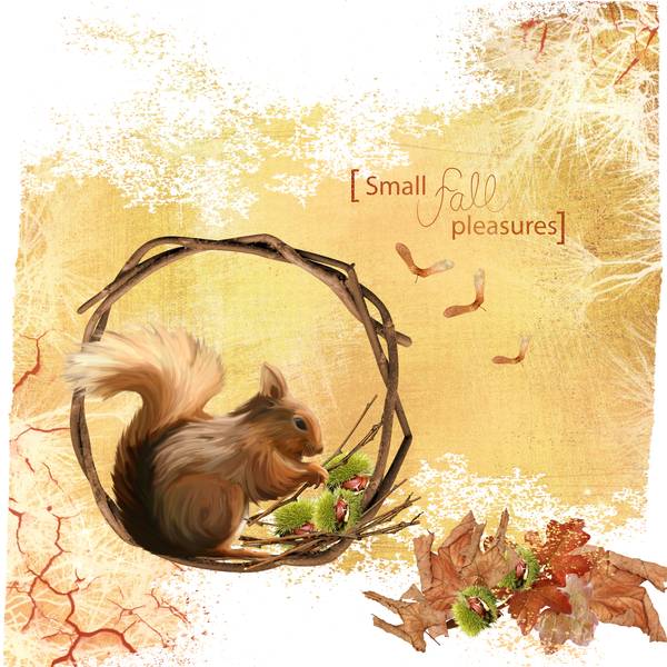 Défi Karine écureuil