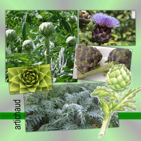 défi Karine fleur fruit