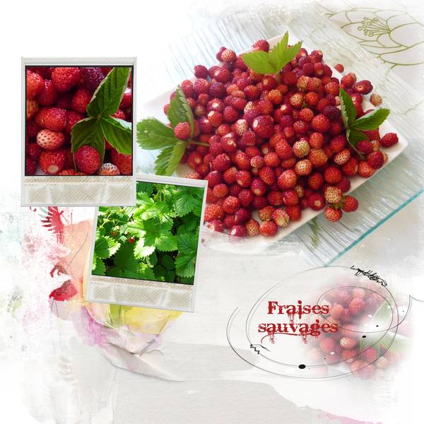 DEFI KARINE fruits et légumes