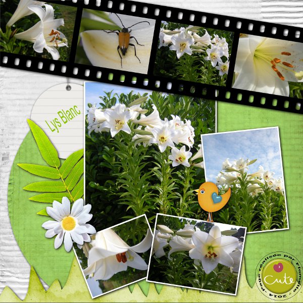 Défi Karine / Kinouliline