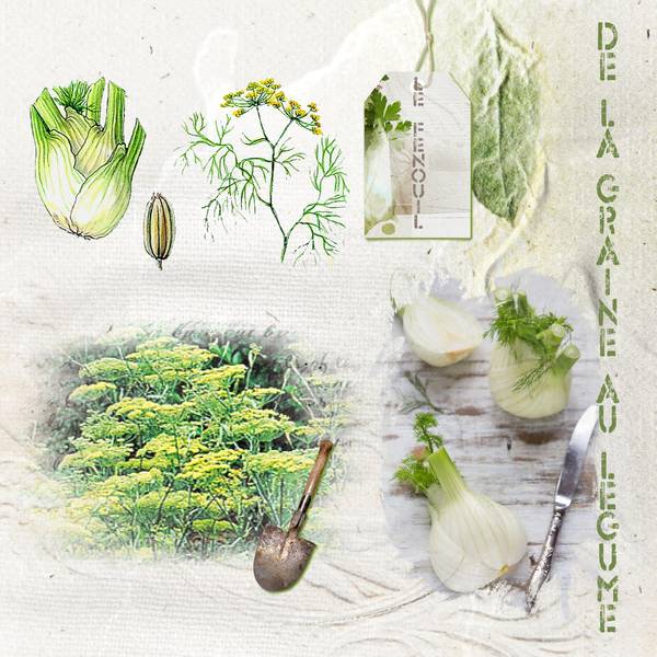 Défi Karine - Légumes