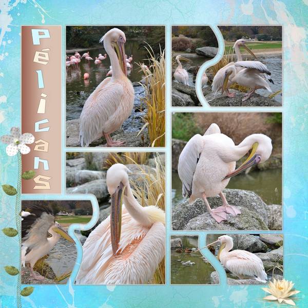 DEFI KARINE PAGE MODELE ANIMAUX