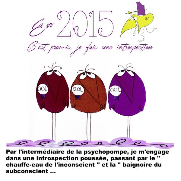 Défi Karine - Résolution 2015