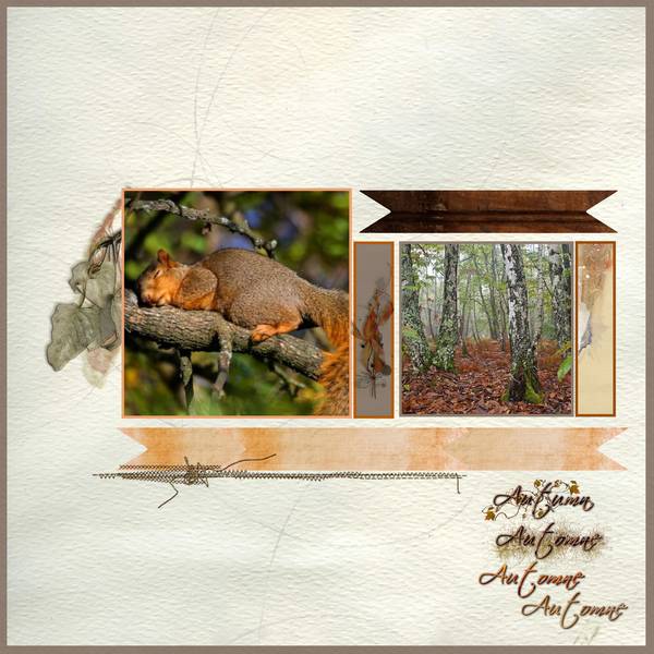 Défi Kinouliline - écureuil.