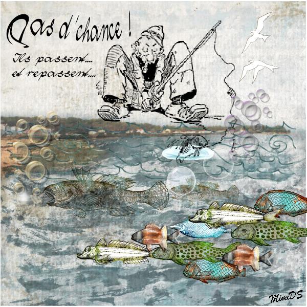 Défi Kinouliline Poisson