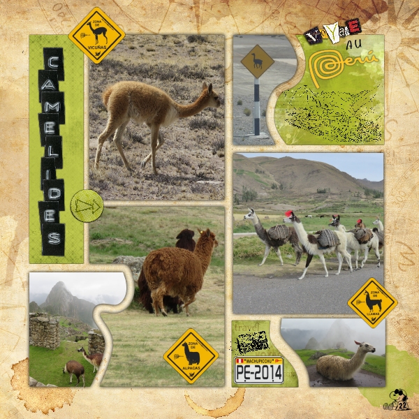 - Défi Kinouliline template/animal -