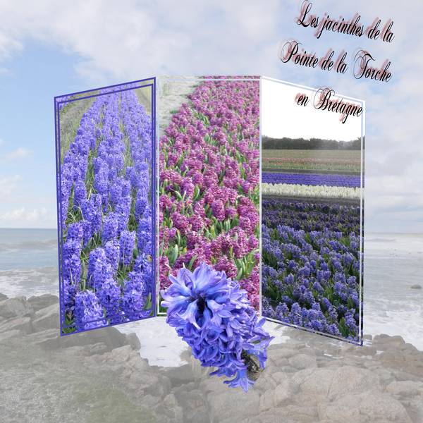 defi Kinouliline un p'tit 2°