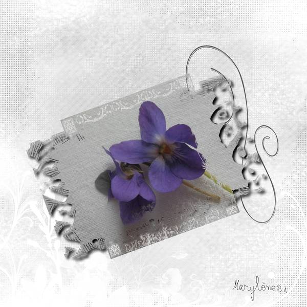 DEFI KINOULILINE - VIOLETTE