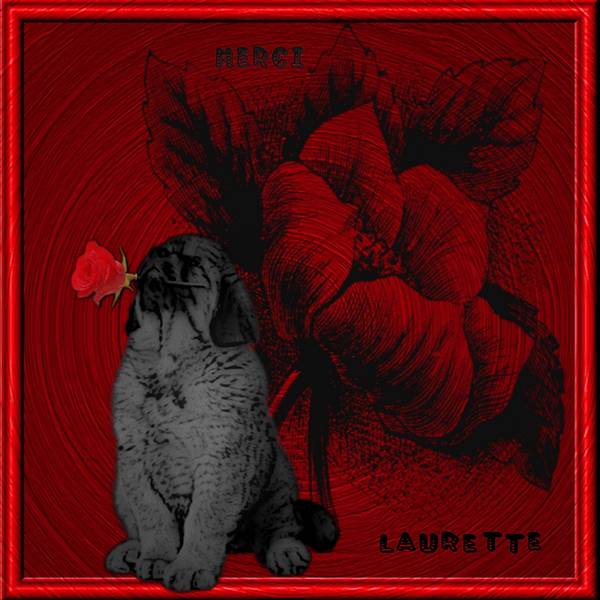 DEFI LAURETTE 2 MERCI