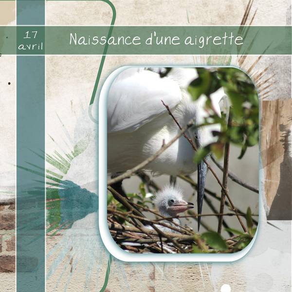 DEFI Laurette animaux