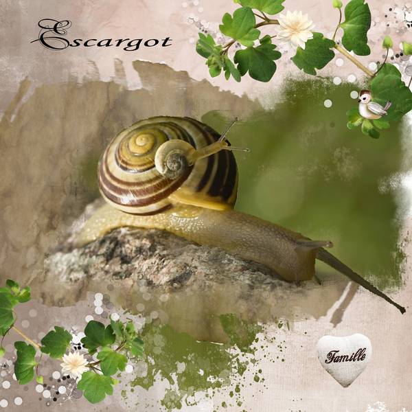 defi laurette bebe maman