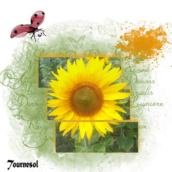 Defi Laurette  cadre +decoupe