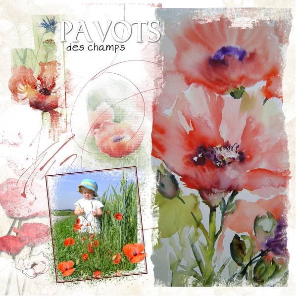 défi Laurette coqulicots