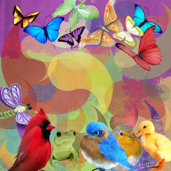 defi laurette couleurs