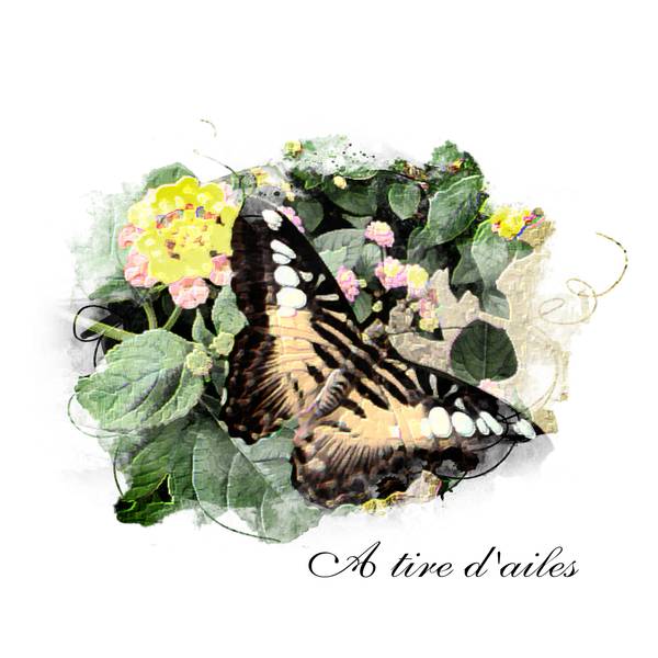 defi laurette dessin