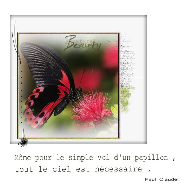 défi Laurette  LE PAPILLON