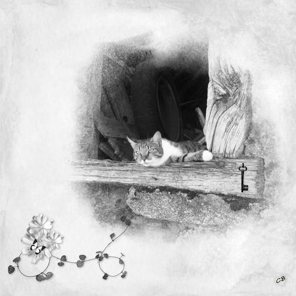 Défi Laurette noir gris blanc