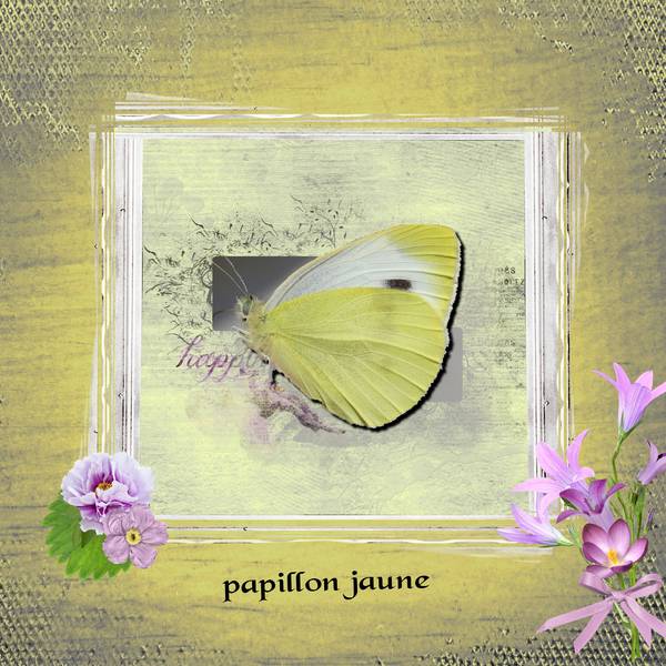 defi laurette papillon