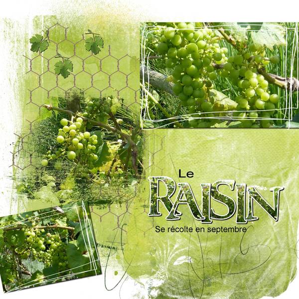 défi Laurette raisin