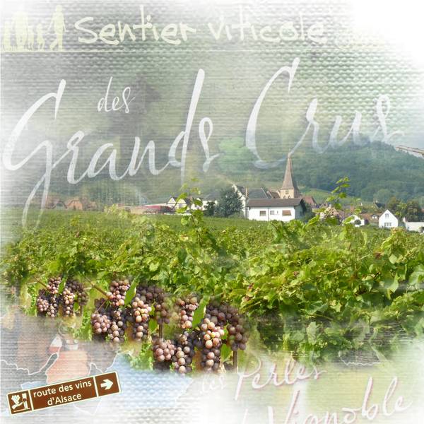 Defi Laurette - Raisin