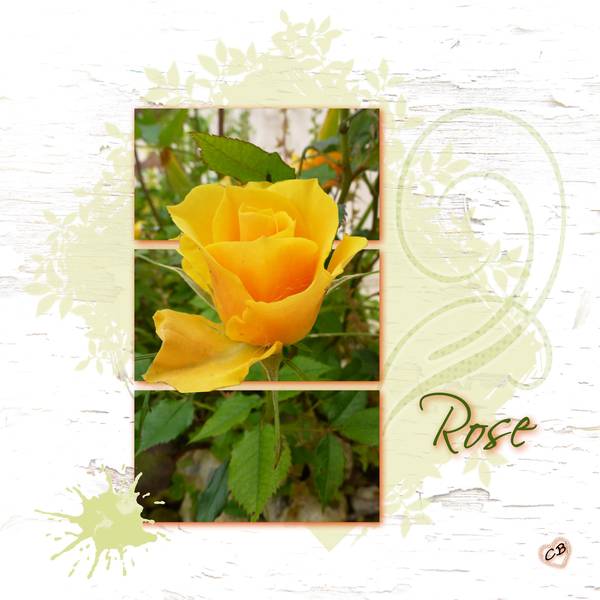 Défi Laurette rectangles fusionnés