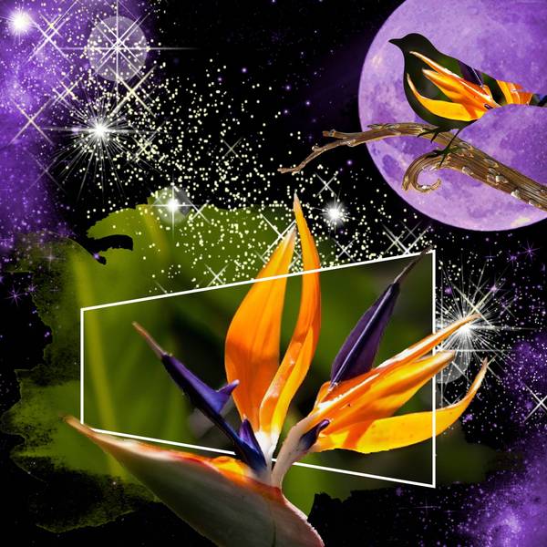 defi laurette refait