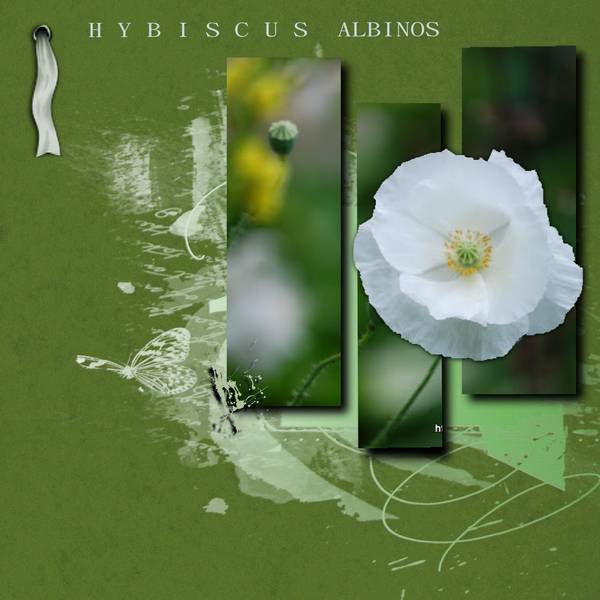 Défi Laurette  S.  31 .