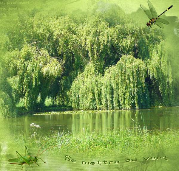 DEFI LAURETTE S.9 VERT