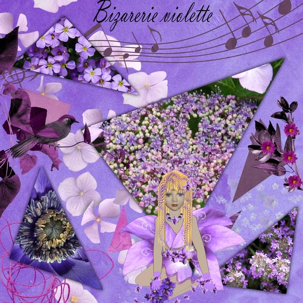 defi Laurette s38 violet