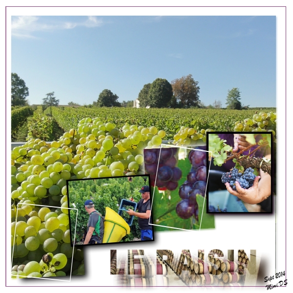 Défi Laurette S39 Le Raisin (3)