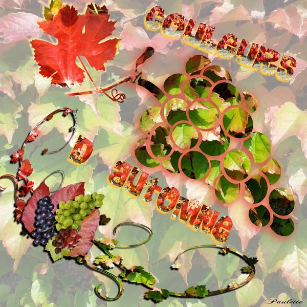 defi laurette s39 raisin