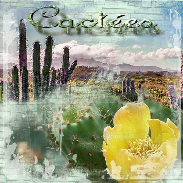 Défi Laurette S40 Cactus (2)