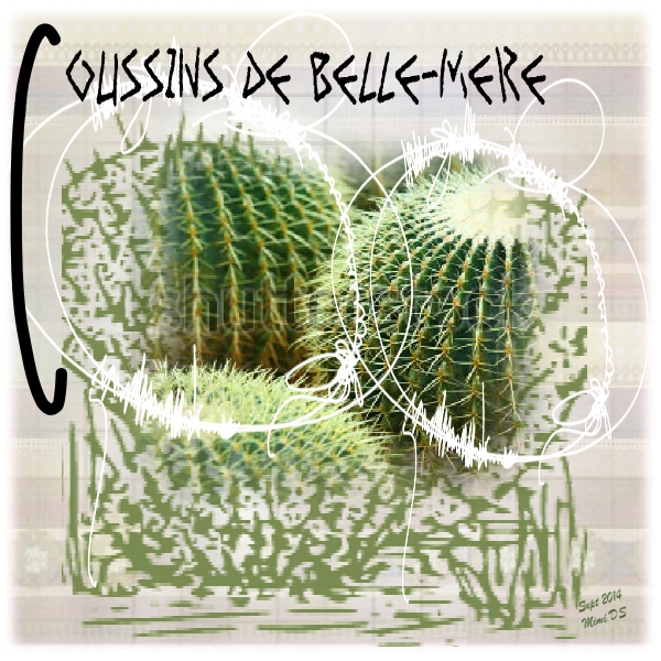 Défi Laurette S40 Cactus