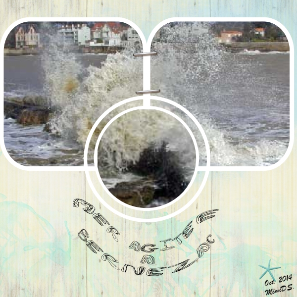 Défi Laurette S41 Mer Houleuse