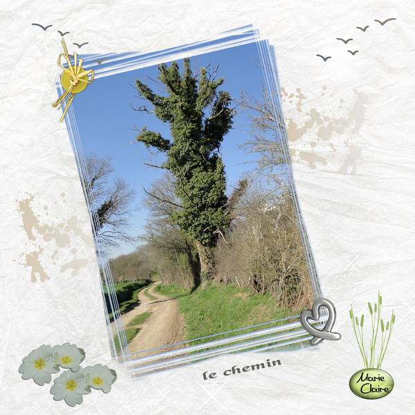 Défi Laurette (sans la neige)