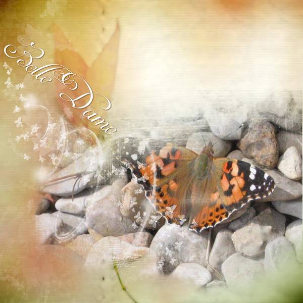 Défi Laurette - Sem 30 - Papillon