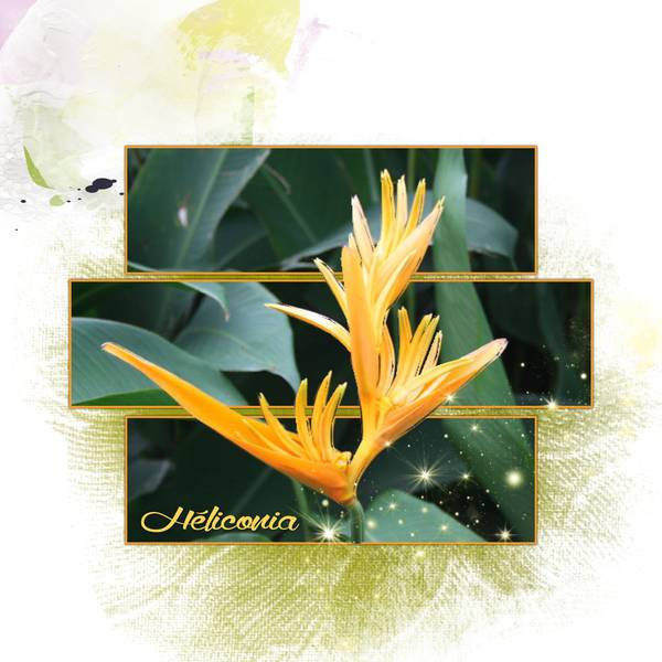 Défi Laurette - SEM 31 -  3 Rectangles fusionnés + 1 détourage 2