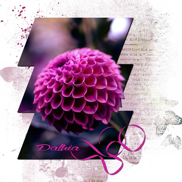 Défi Laurette - SEM 31 -  3 Rectangles fusionnés + 1 détourage 3