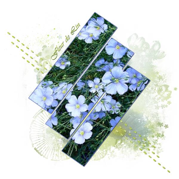 Défi Laurette - SEM 31 -  3 Rectangles fusionnés + 1 détourage 4