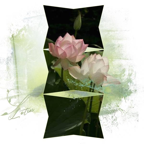 Défi Laurette - SEM 31 -  3 Rectangles fusionnés + 1 détourage 5