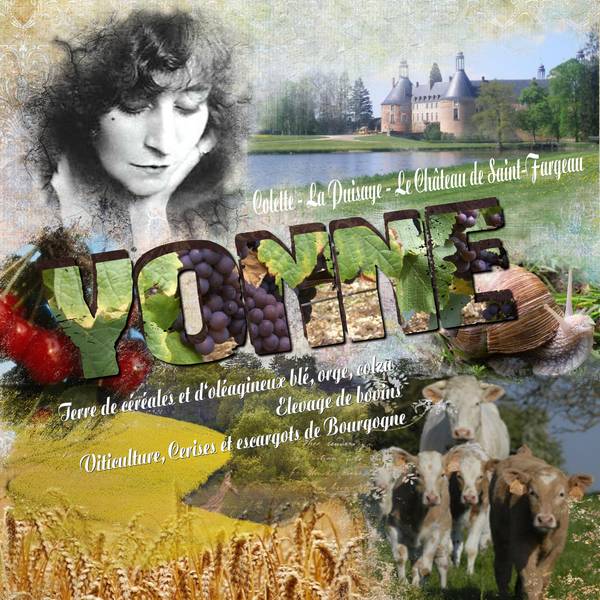 Défi Laurette - Sem 32 - Votre département ....