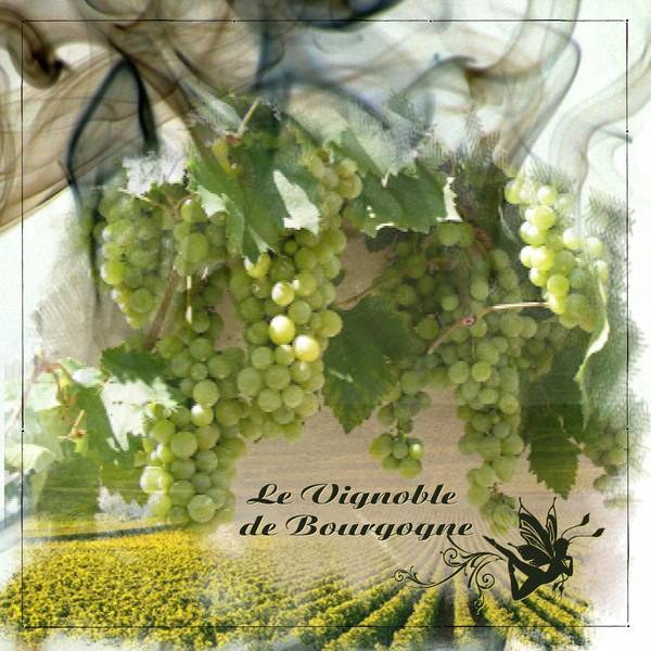 Défi Laurette - Sem 39 - Raisin