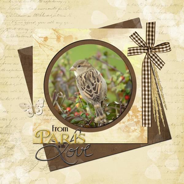 Défi Laurette - Sem 47 - Oiseaux de nos jardins